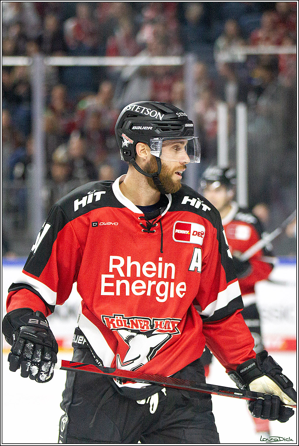 PENNY DEL;  Koelner Haie - Straubing Tigers; Koeln, 15.10.2021